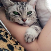 ヴィトン