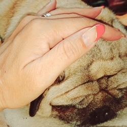 (¯ω¯)＼(o・ω・o)