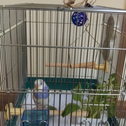 日中の過ごし方