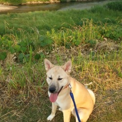 お久しぶりです