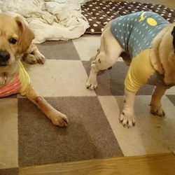 玄関 開けたら( *・ω・)ノ