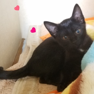 おとなしいけど遊ぶのは大好きな女の子☆