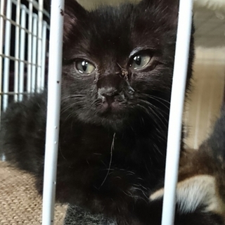 おっとりとした男の子