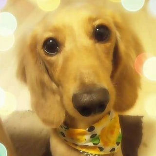 臆病ですが人が大好きです！（受付stop中です）