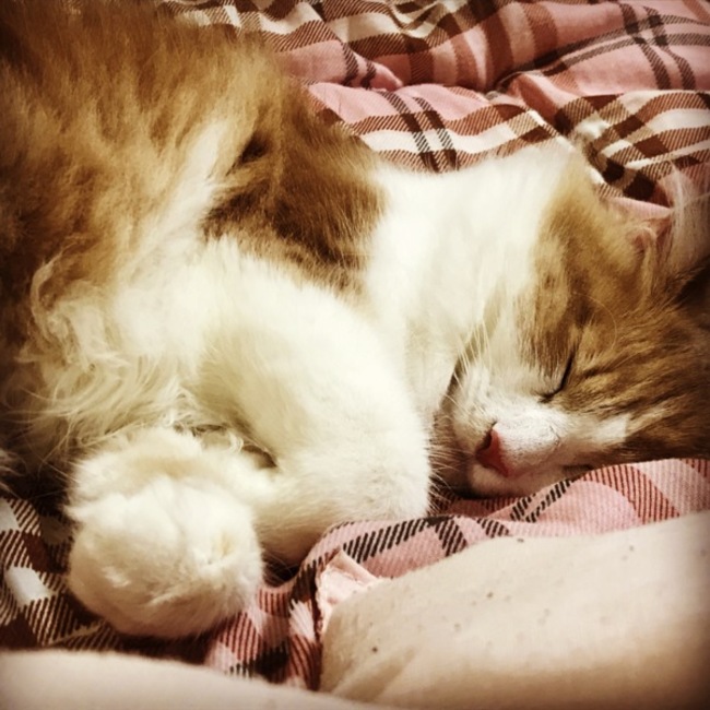 chiaki24のカバー写真