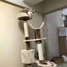 キャットタワーを買いました。ちゃんと登れるか心配でしたがなんとか登れるようです