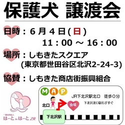 はーとinはーと 6月譲渡会 下北沢
