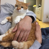 ちゃーみー