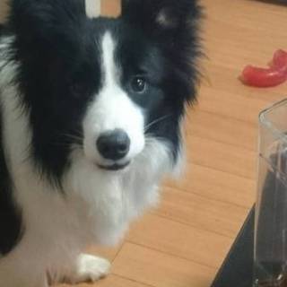 一旦締め切らせていただきます。