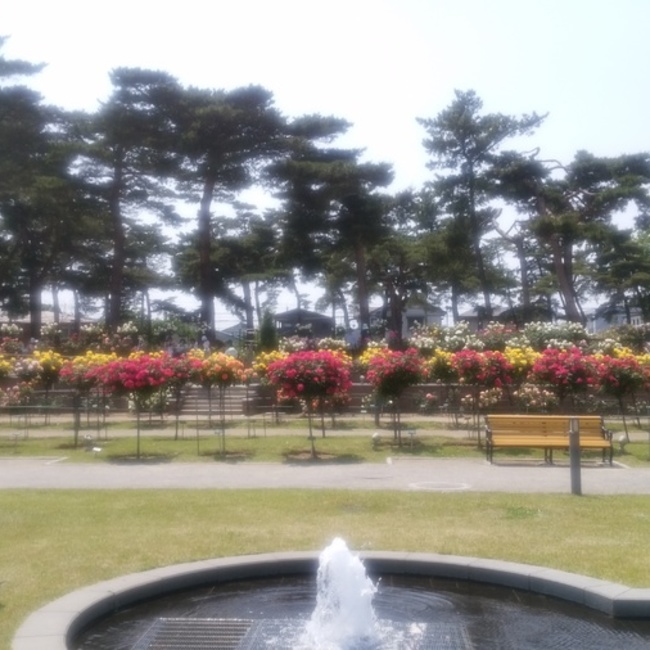 ちゃいろくんのカバー写真