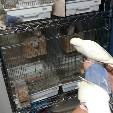 みんな仲良くしています。