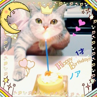 多数の応募ありがとうございました。里親さん決定！