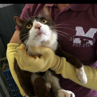 ありがとうございました！！