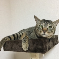 1ヶ月過ぎました。