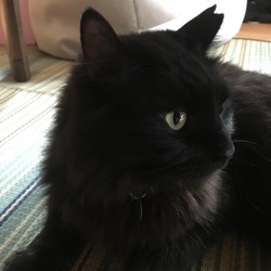 「1ヶ月過ぎました。」サムネイル2