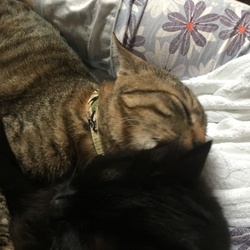 「1ヶ月過ぎました。」サムネイル3