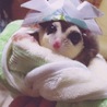 Kogumachan