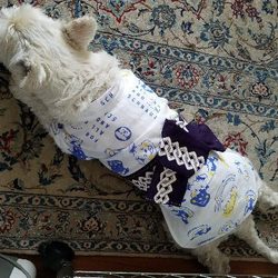 「手縫いの浴衣ワン(^_-)-☆」サムネイル3