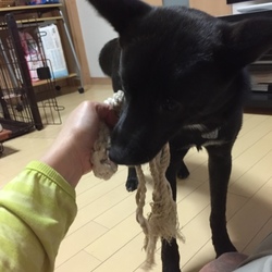 「黄色い液体を吐く」サムネイル2