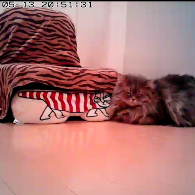 ドラゴンヌのカバー写真