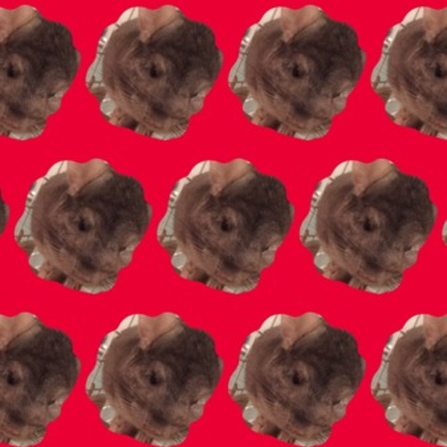 Momo chan 23 26のカバー写真