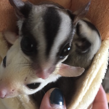 お父さんとお母さんと一緒に(*^^*)