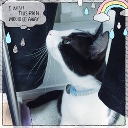 もーすぐ梅雨、、？