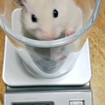 の写真