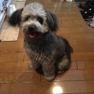 やんちゃな男の子です！