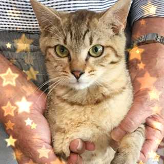 ☆綺麗な色、アーモンド君☆