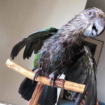 お水浴びは楽しいね