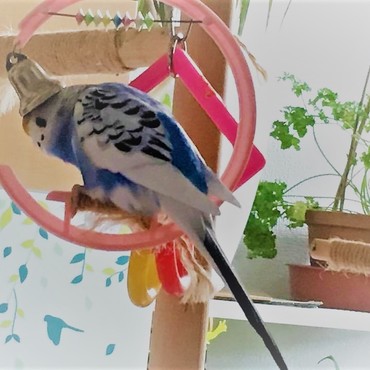 ベルが大好き過ぎてこうなります☆彡