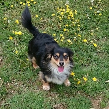 １人で楽しむそらちゃん♪