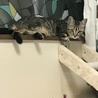 大好きな窓辺から