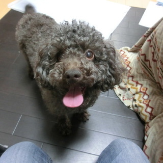 「とあ」少し怖がり。本当は甘えたり遊びたい…