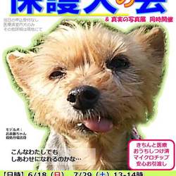 GO!保護犬の会in富士山・小山町 冷房完備