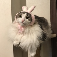 ふぅた