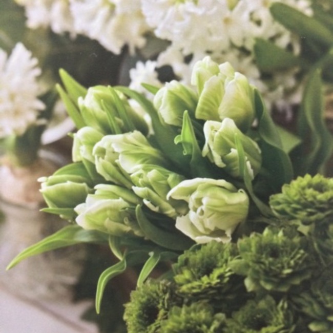 うりっぺのカバー写真