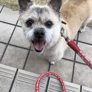 こぼれそうなまん丸おめめが可愛い男の子