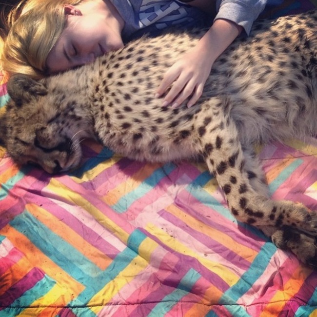 るかゆきのカバー写真