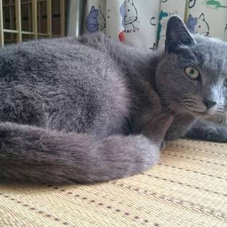 推定６、７歳の男の子