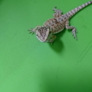 ご応募してくださりありがとうございました❗