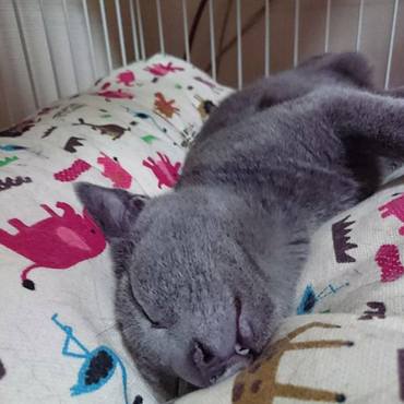 爆睡・・・油断と隙しかない空汰