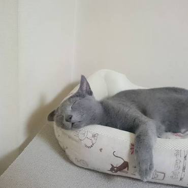 一応、この子『超ビビリ』です(笑)