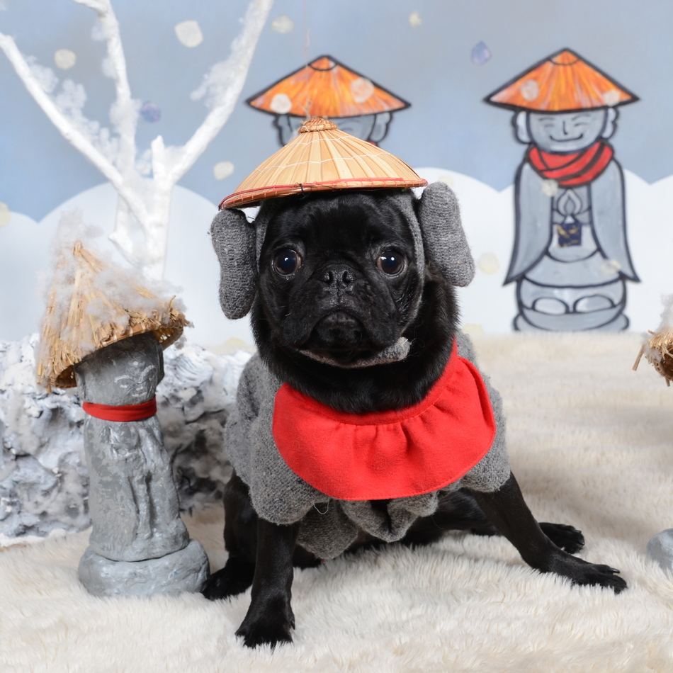 かげちよのカバー写真