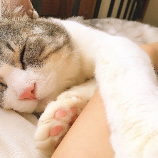 emmmmiのカバー写真