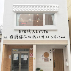 犬猫里親お見合いの会