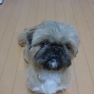 宜しくお願い致します