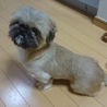 宜しくお願い致します サムネイル3