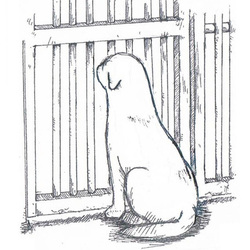 命の終わり